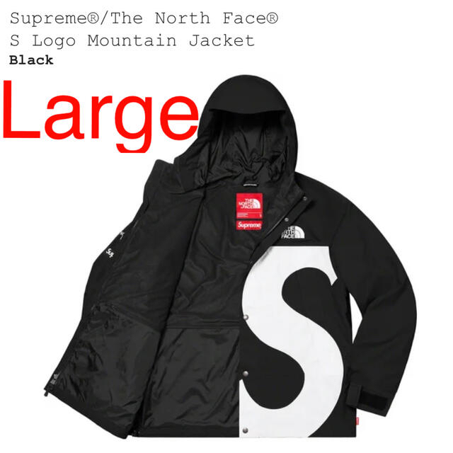 L Supreme North Face Mountain Jacket