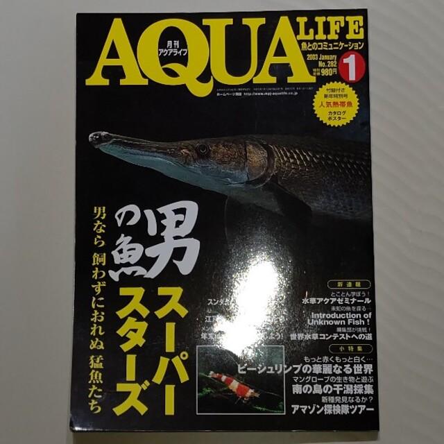 月刊アクアライフ 超大型魚、猛魚特集 ビーシュリンプ ADA故天野尚氏コラム エンタメ/ホビーの雑誌(アート/エンタメ/ホビー)の商品写真