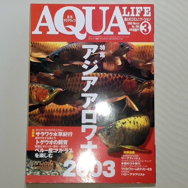 月刊アクアライフ アジアアロワナ特集 コリドラス ADA故天野尚氏コラム エンタメ/ホビーの雑誌(アート/エンタメ/ホビー)の商品写真