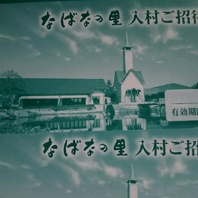 なばなの里  入村券 4枚