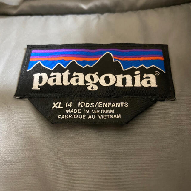 Patagonia ダウンジャケット 2