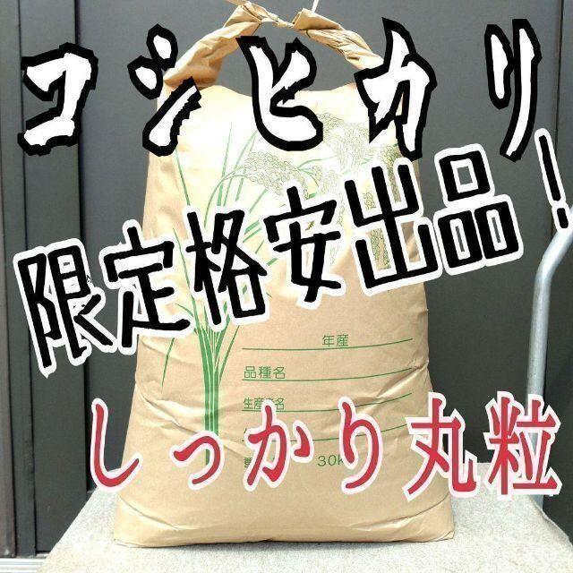 数量限定！無洗米OK 令和元年度 埼玉県産 コシヒカリ 白米20kg 精米料込み米/穀物