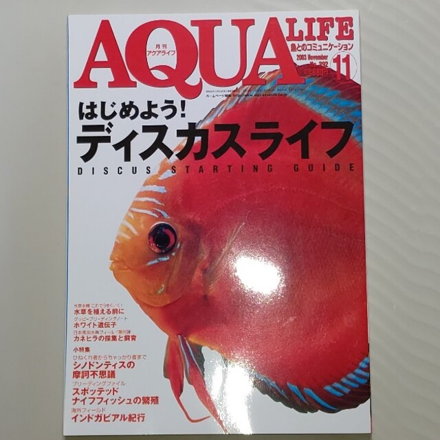 月刊アクアライフ ディスカス特集 シノドンティス ADA故天野尚氏コラム エンタメ/ホビーの雑誌(その他)の商品写真