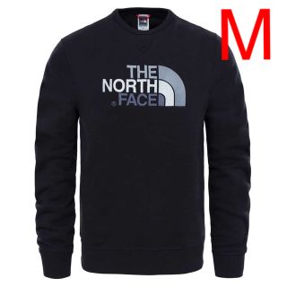 ザノースフェイス(THE NORTH FACE)のノースフェイス　トレーナー　スウェットパーカー　裏起毛　ロゴトレーナー　(スウェット)