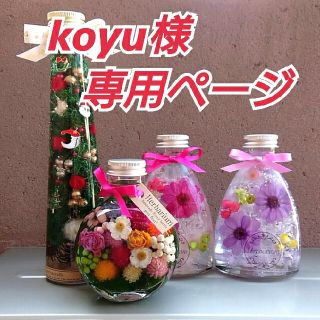   ハーバリウム   koyu様専用ページ X'mas他オーダー分(インテリア雑貨)