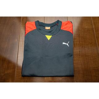 プーマ(PUMA)のPUMA ( プーマ ) トレーニングウェア Tシャツ(Tシャツ/カットソー(半袖/袖なし))
