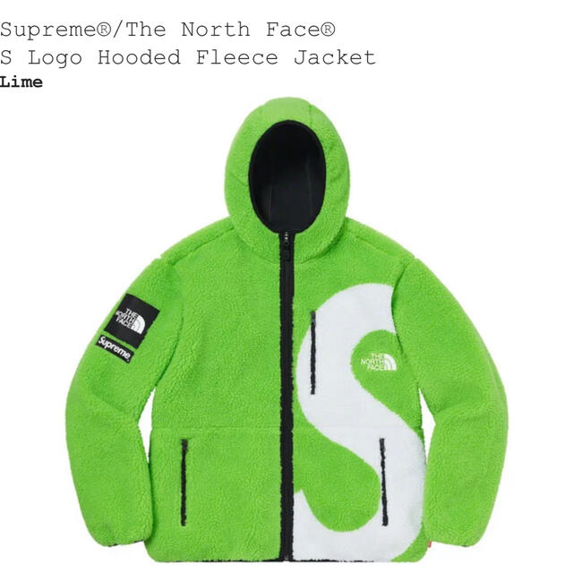 Supreme North Face S Logo Hooded Fleece