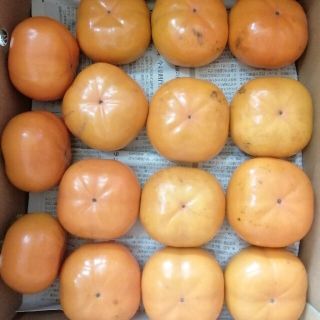 スージー様専用　次郎柿 10キロ　三重県多気町産　柿(フルーツ)
