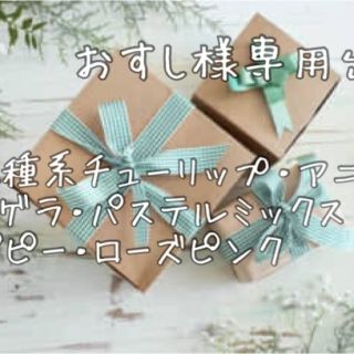 おすし様専用出品(その他)