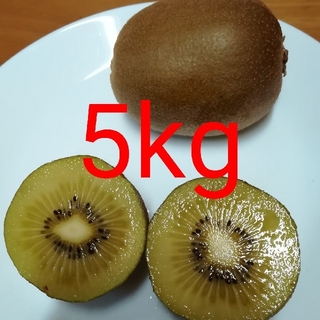 ゴールドキウイフルーツ　5kg(フルーツ)