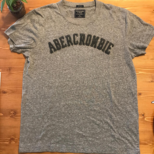 Abercrombie&Fitch(アバクロンビーアンドフィッチ)のアバクロ　Tシャツ　グレー メンズのトップス(Tシャツ/カットソー(半袖/袖なし))の商品写真