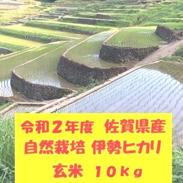 【新米】無農薬!自然栽培!佐賀県産!「伊勢ヒカリ」玄米10kg自然栽培