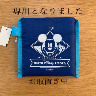 ディズニー(Disney)のDisney ディズニーエコバッグ　2つセット(エコバッグ)