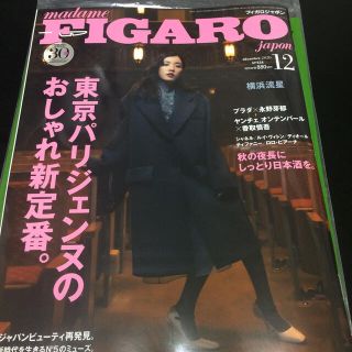 madame FIGARO japon (フィガロ ジャポン) 2020年 12(その他)