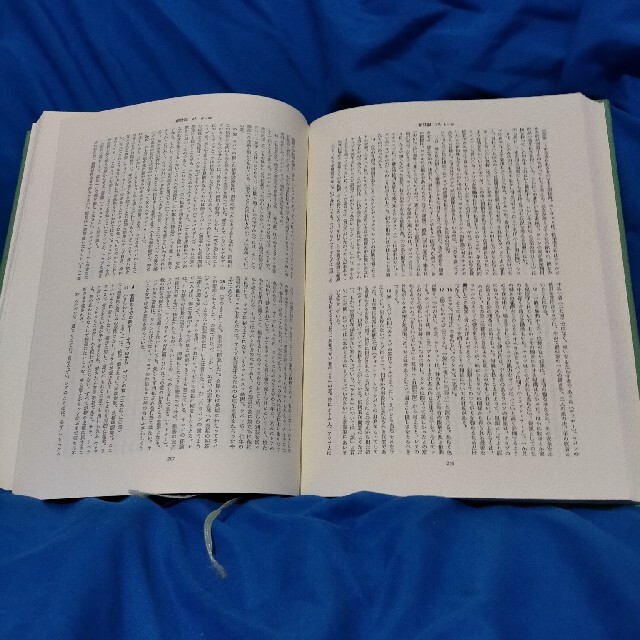 新聖書注解 旧約全4巻セット 福音派必携の書 いのちのことば社 新聖書注解 旧約全4巻セット 福音派必携の書 いのちのことば社