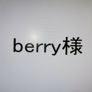 メゾピアノ(mezzo piano)のberry様専用 おまとめページ(Tシャツ/カットソー)