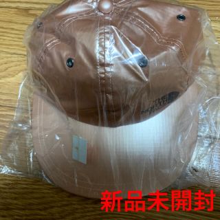 シュプリーム(Supreme)の【未開封】Supreme The North Face Metallic Cap(キャップ)