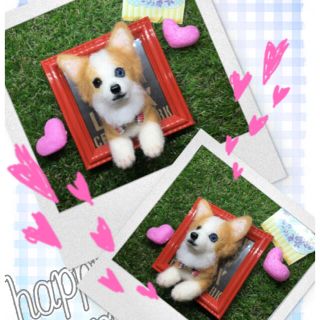 ☆様　犬　コーギー額縁入り　羊毛フェルト(犬)