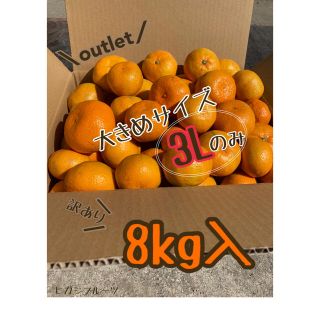 【訳あり】大玉 みかん 8kg 《3L》＊福岡立花産＊ 産地直送(フルーツ)