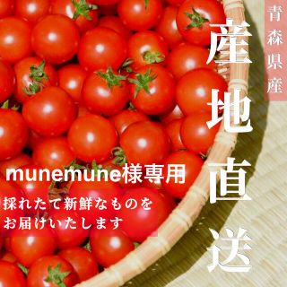 ミニトマト Sサイズ 4kg munemune様専用(野菜)