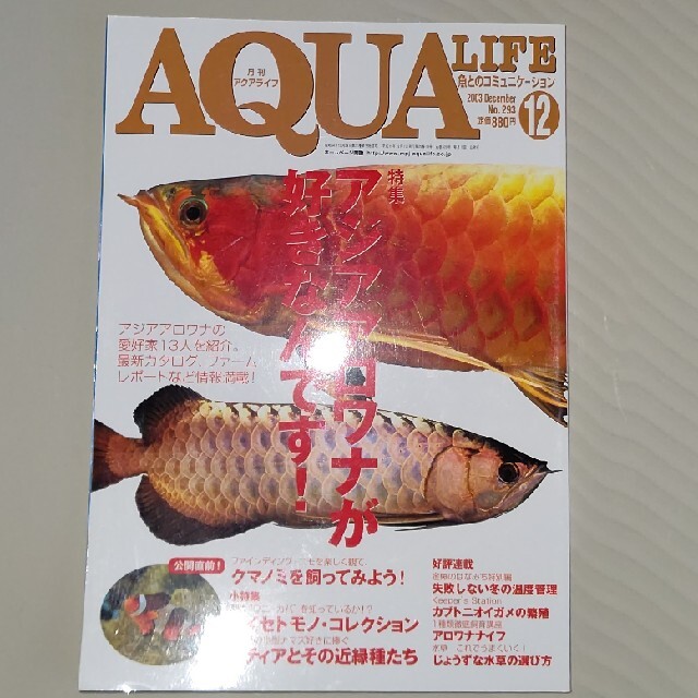 月刊アクアライフ アジアアロワナ特集 カクレクマノミ ADA故天野尚氏コラム エンタメ/ホビーの雑誌(その他)の商品写真