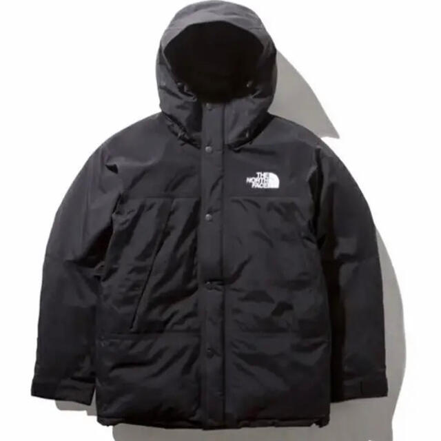 THE NORTH FACE - the north face mountain down jacket