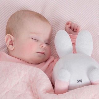 miffyいないいないばあミッフィー★新品★オランダ限定品(ぬいぐるみ)