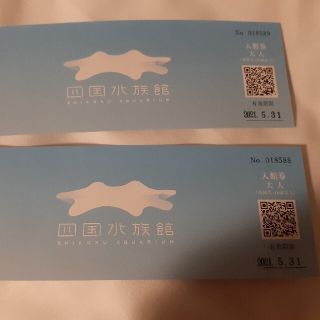 四国水族館　大人　２名　入館券　普通郵便　送料無料(水族館)