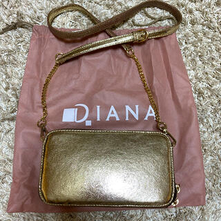 ダイアナ 結婚式 バッグの通販 89点 | DIANAのレディースを買うならラクマ