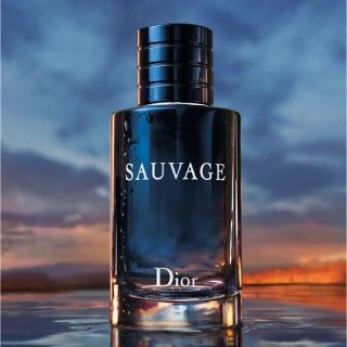 クリスチャンディオール(Christian Dior)のクリスチャン ディオール ソヴァージュ オード トワレ 200ml(香水(男性用))