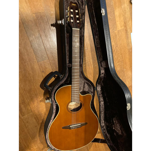 ヤマハ APX-6NA エレガット | gulatilaw.com