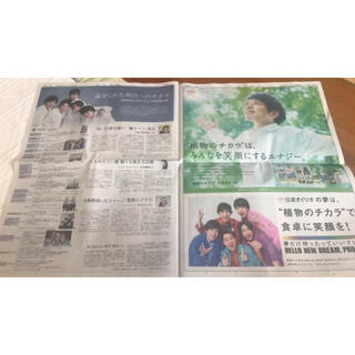 アラシ(嵐)の朝日新聞　嵐　広告(印刷物)