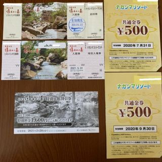 湯あみの島入館券2枚と金券500円2枚(遊園地/テーマパーク)