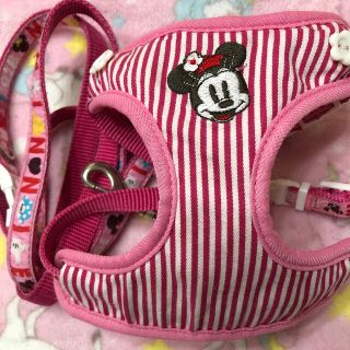 ディズニー(Disney)のペットパラダイス❤️ミニーちゃん　3S ハーネスリード(犬)