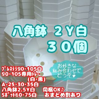 プラ八角鉢 カネヤ【2Y】30個 多肉植物(プランター)