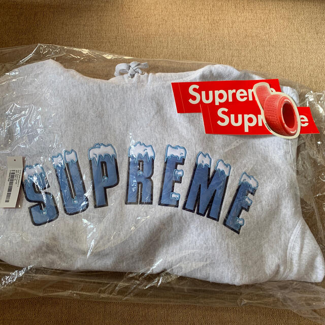 supreme   Icy Arc Hooded Sweatshirt
