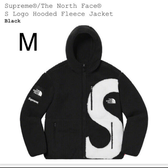 ブルゾンMサイズ Supreme The North Face SLogo Fleece