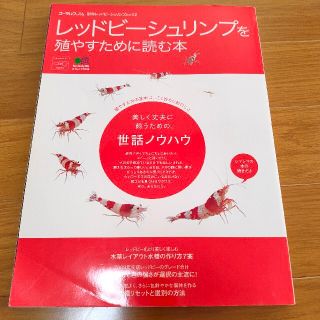 レッドビ－シュリンプを殖やすために読む本(住まい/暮らし/子育て)