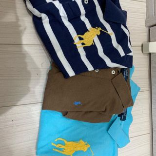 ラルフローレン(Ralph Lauren)のセット価格(ポロシャツ)