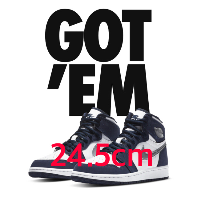 Nike Air Jordan 1 HIGH OG CO JP【24.5cm】