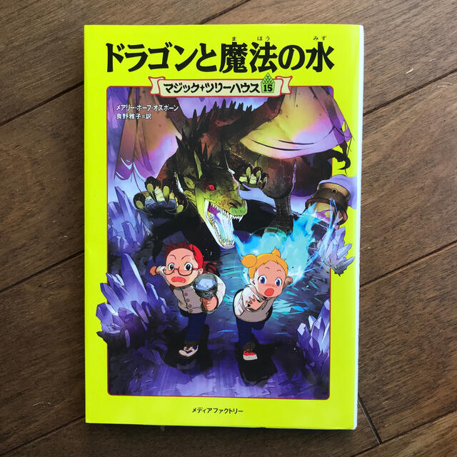 ドラゴンと魔法の水 エンタメ/ホビーの本(絵本/児童書)の商品写真