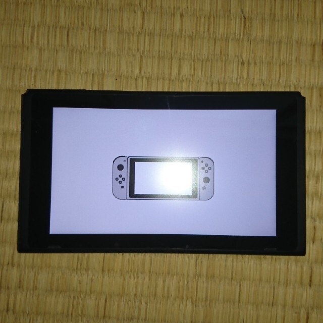 Nintendo Switch JOY-CON グレー 本体  HAC-S-KA