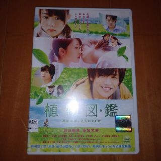 植物図鑑　運命の恋、ひろいました DVD　レンタル専用商品(日本映画)