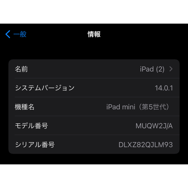 iPad mini 第5世代　Wi-Fiモデル　64GB スペースグレイ＋ケース 3