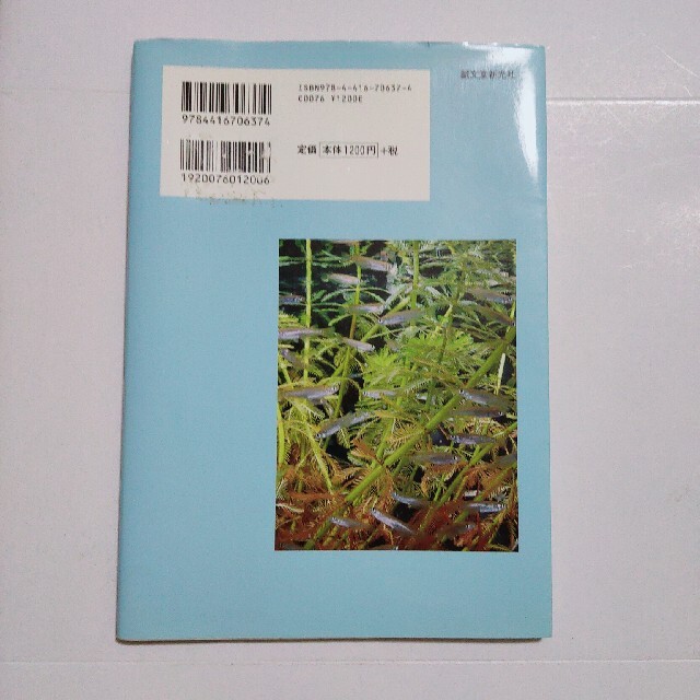 アクアリウムでメダカを飼おう！ 水槽で楽しむ日本メダカ エンタメ/ホビーの本(住まい/暮らし/子育て)の商品写真
