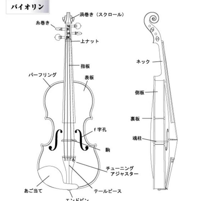 スズキ　バイオリン 楽器の弦楽器(ヴァイオリン)の商品写真