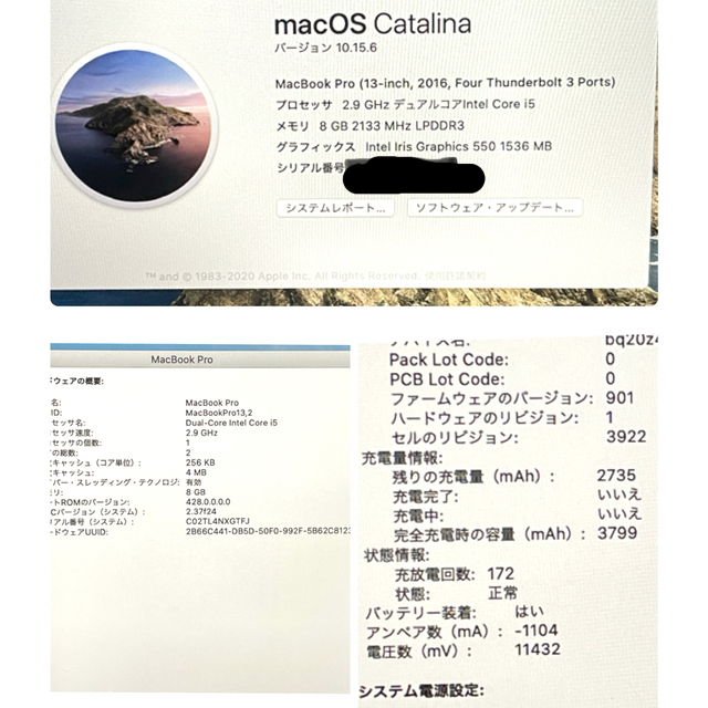 Apple(アップル)の専用出品 macbook pro 2016 i5 16GB 256GB  スマホ/家電/カメラのPC/タブレット(ノートPC)の商品写真