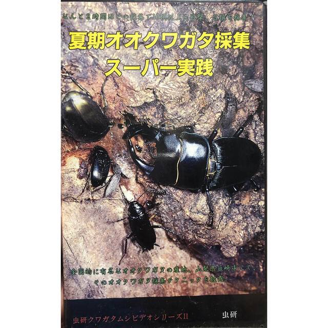 虫研　クワガタムシシリーズⅡ　ビデオ　夏期オオクワガタ採取　スーパー実践　VHS