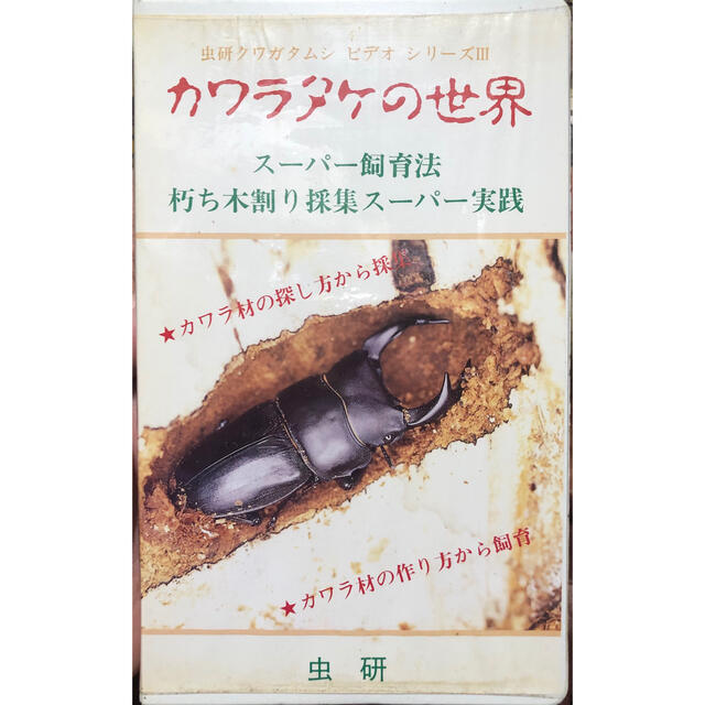 虫研　クワガタムシシリーズⅢ　ビデオ　カワラタケの世界　スーパー飼育法