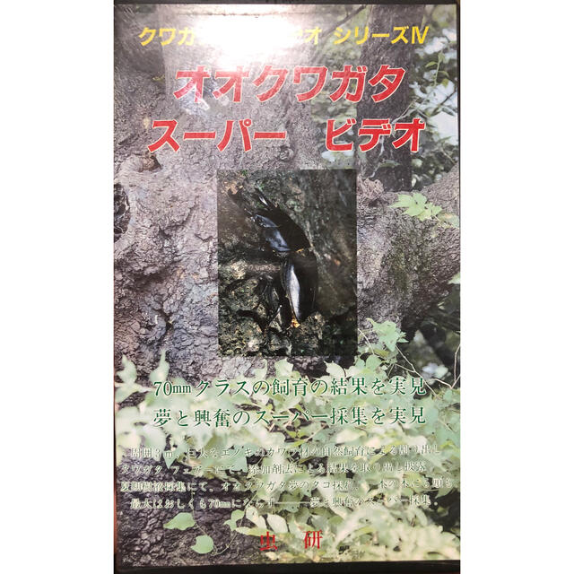 虫研　クワガタムシシリーズⅣ　ビデオ　オオクワガタ　スーパービデオ　VHS